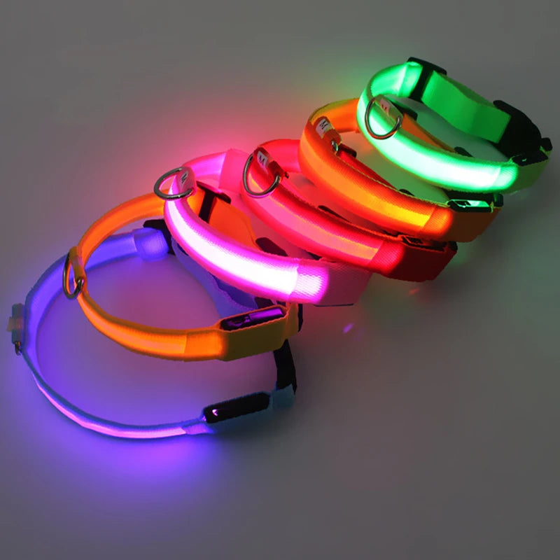 LED Glowing Pet Collar – USB Rechargeable Safety Light
