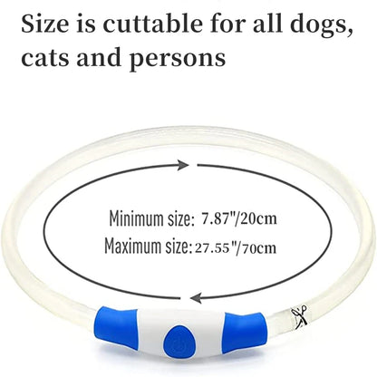 LED Glowing Pet Collar – USB Rechargeable Safety Light