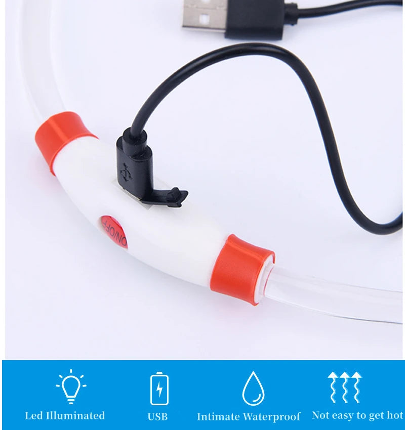 LED Glowing Pet Collar – USB Rechargeable Safety Light