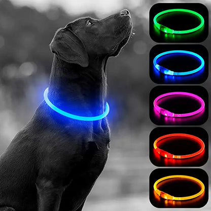 LED Glowing Pet Collar – USB Rechargeable Safety Light