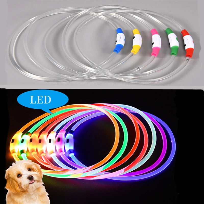LED Glowing Pet Collar – USB Rechargeable Safety Light
