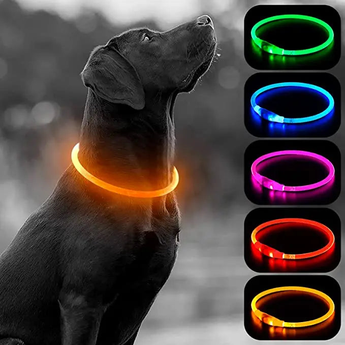 LED Glowing Pet Collar – USB Rechargeable Safety Light
