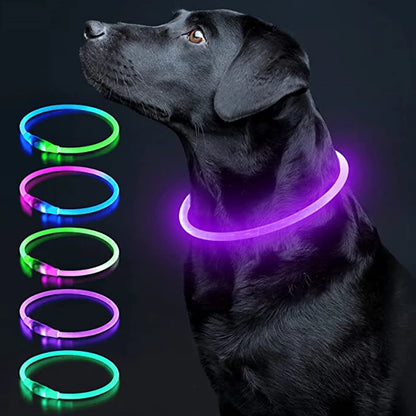 LED Glowing Pet Collar – USB Rechargeable Safety Light