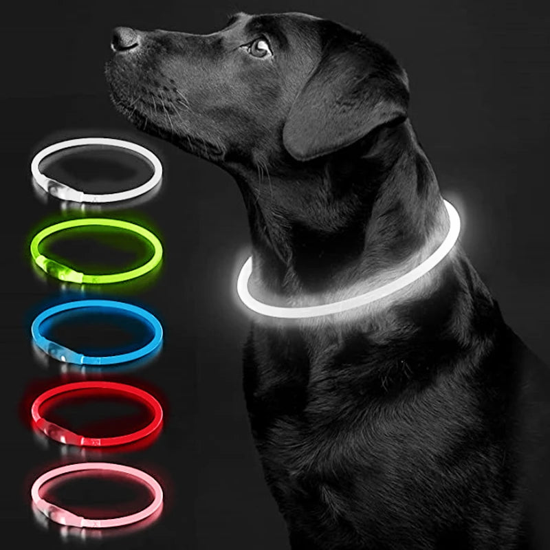 LED Glowing Pet Collar – USB Rechargeable Safety Light