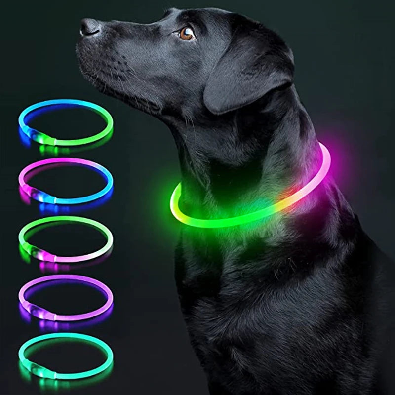 LED Glowing Pet Collar – USB Rechargeable Safety Light