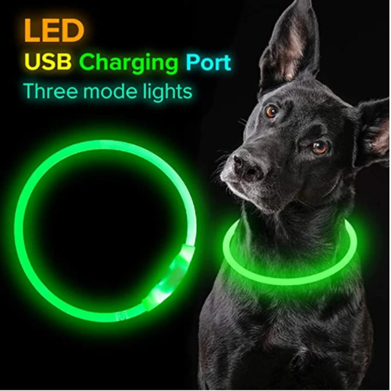 LED Glowing Pet Collar – USB Rechargeable Safety Light