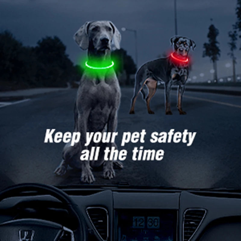 LED Glowing Pet Collar – USB Rechargeable Safety Light