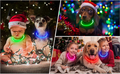 LED Glowing Pet Collar – USB Rechargeable Safety Light