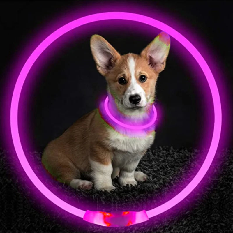 LED Glowing Pet Collar – USB Rechargeable Safety Light
