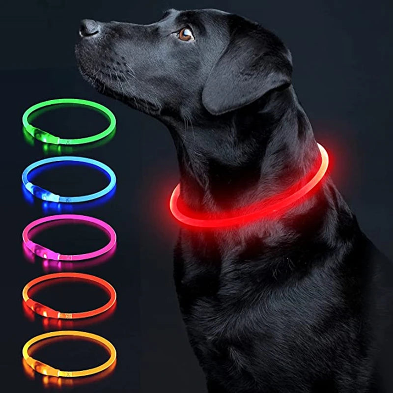 LED Glowing Pet Collar – USB Rechargeable Safety Light