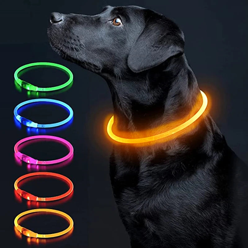 LED Glowing Pet Collar – USB Rechargeable Safety Light