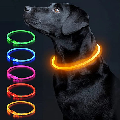 LED Glowing Pet Collar – USB Rechargeable Safety Light