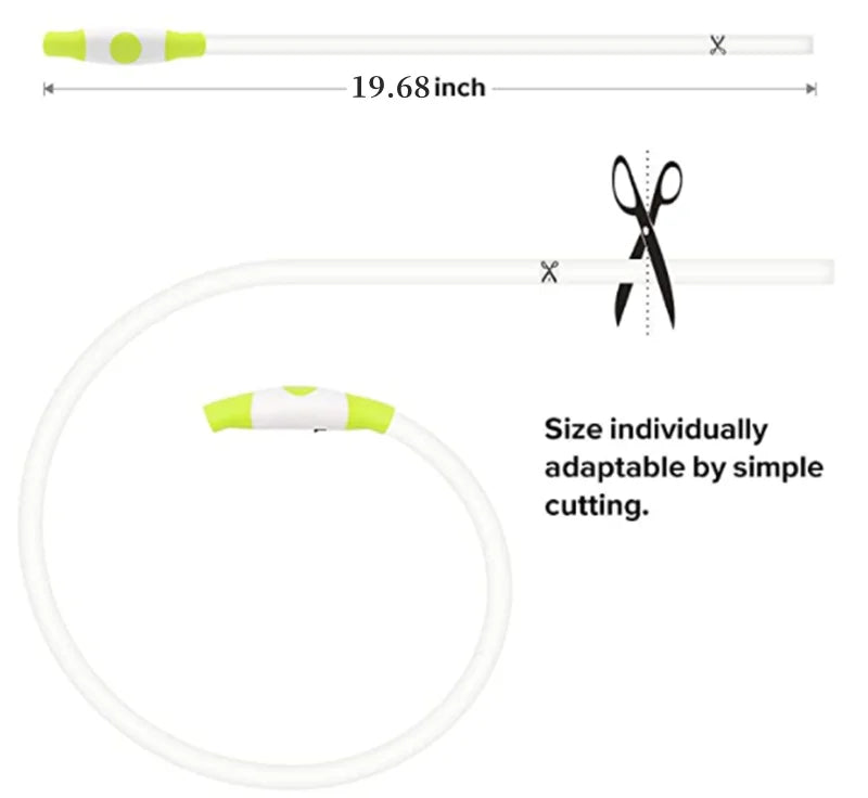 LED Glowing Pet Collar – USB Rechargeable Safety Light