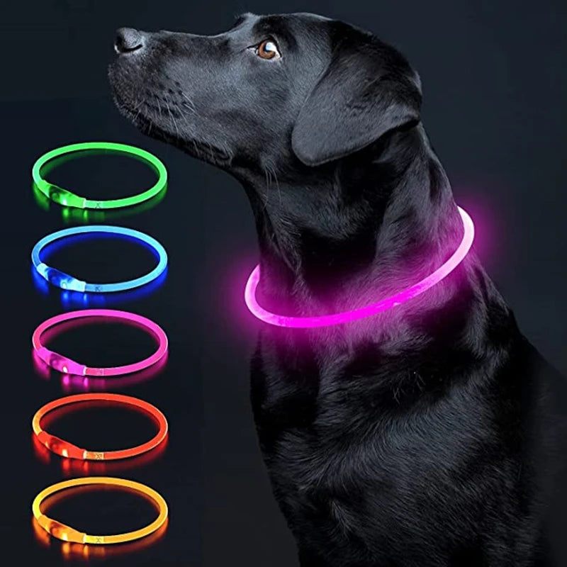 LED Glowing Pet Collar – USB Rechargeable Safety Light