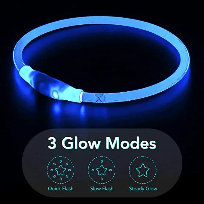 LED Glowing Pet Collar – USB Rechargeable Safety Light