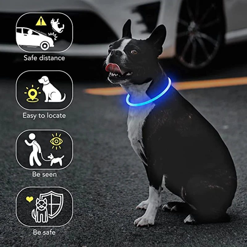 LED Glowing Pet Collar – USB Rechargeable Safety Light