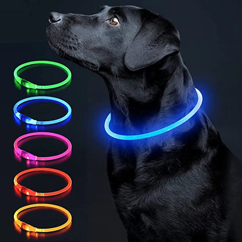 LED Glowing Pet Collar – USB Rechargeable Safety Light