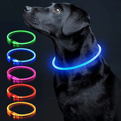 LED Glowing Pet Collar – USB Rechargeable Safety Light