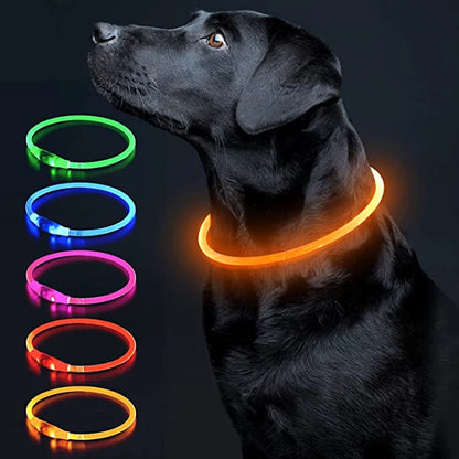 LED Glowing Pet Collar – USB Rechargeable Safety Light