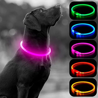LED Glowing Pet Collar – USB Rechargeable Safety Light