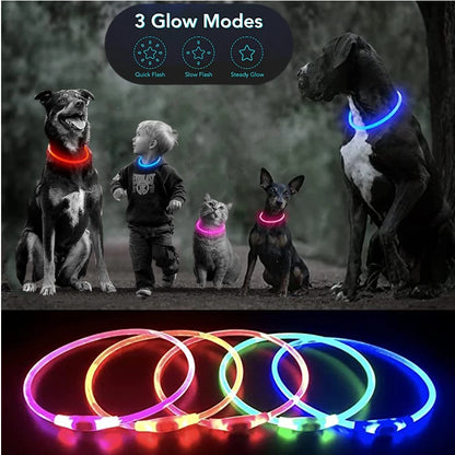 LED Glowing Pet Collar – USB Rechargeable Safety Light