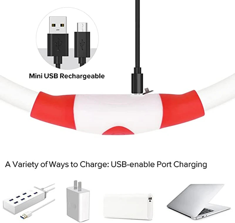 LED Glowing Pet Collar – USB Rechargeable Safety Light