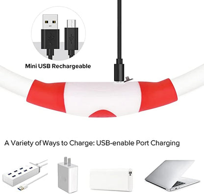 LED Glowing Pet Collar – USB Rechargeable Safety Light