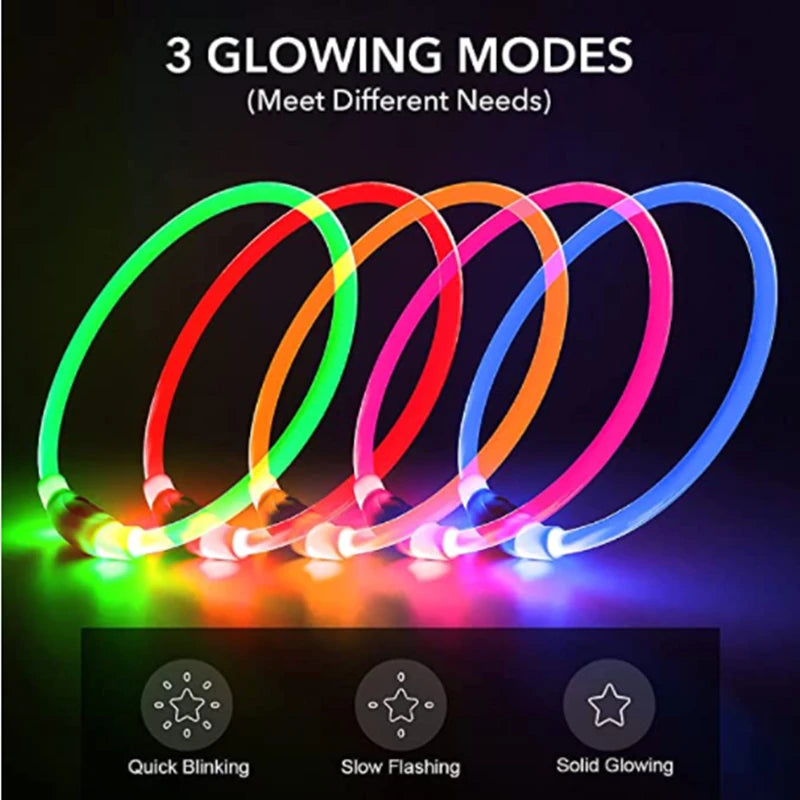 LED Glowing Pet Collar – USB Rechargeable Safety Light