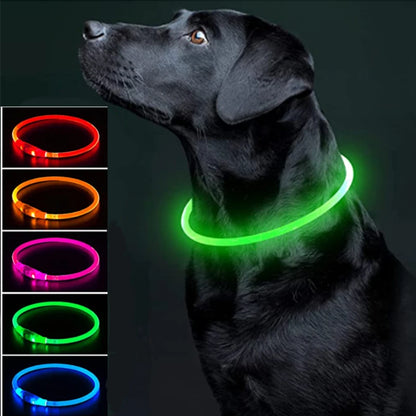 LED Glowing Pet Collar – USB Rechargeable Safety Light