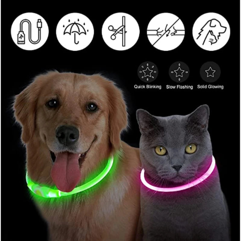 LED Glowing Pet Collar – USB Rechargeable Safety Light