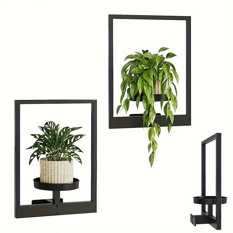 Living Plant Art Frame