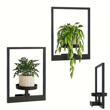 Living Plant Art Frame