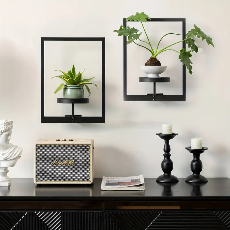 Living Plant Art Frame