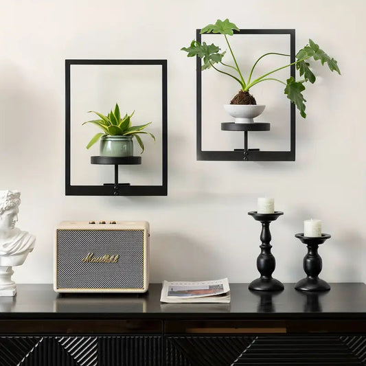 Living Plant Art Frame