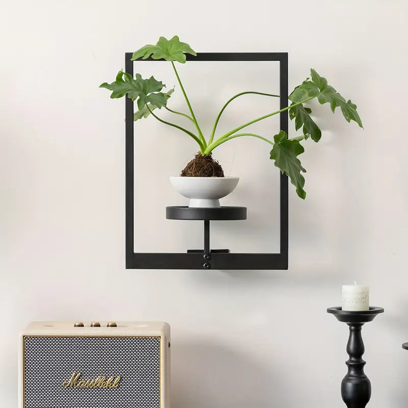 Living Plant Art Frame