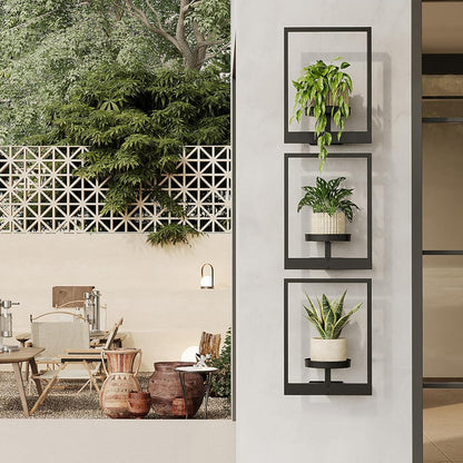 Living Plant Art Frame