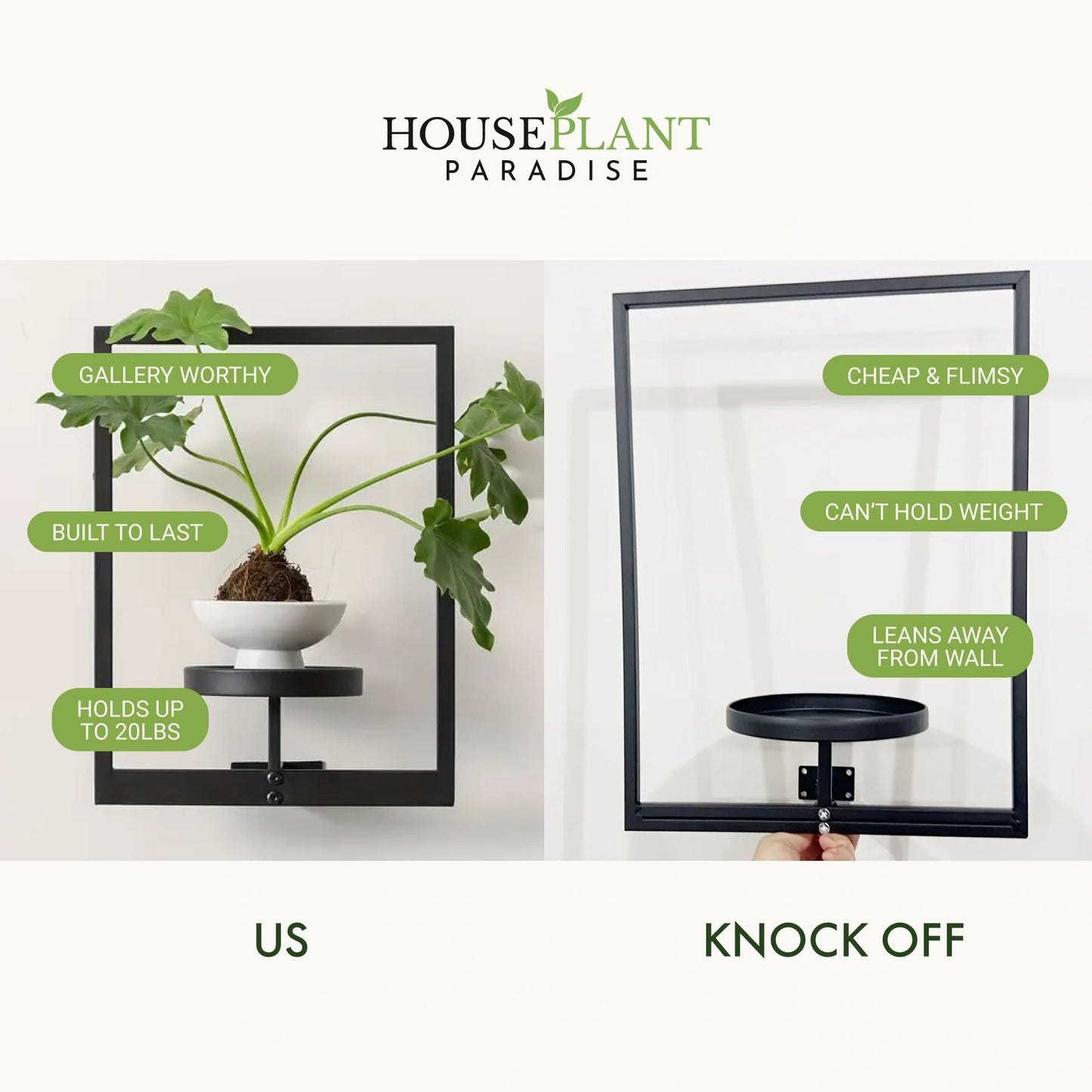Living Plant Art Frame