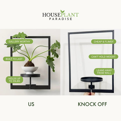 Living Plant Art Frame